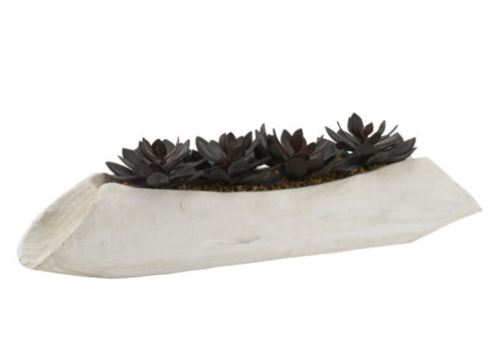 Light Tan Log Image