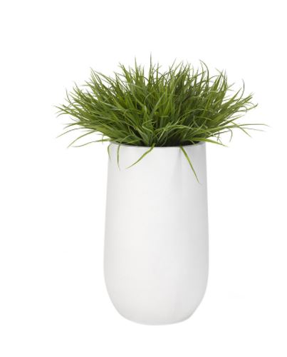 Wild grass Image