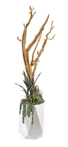 7′ Ghostwood Image