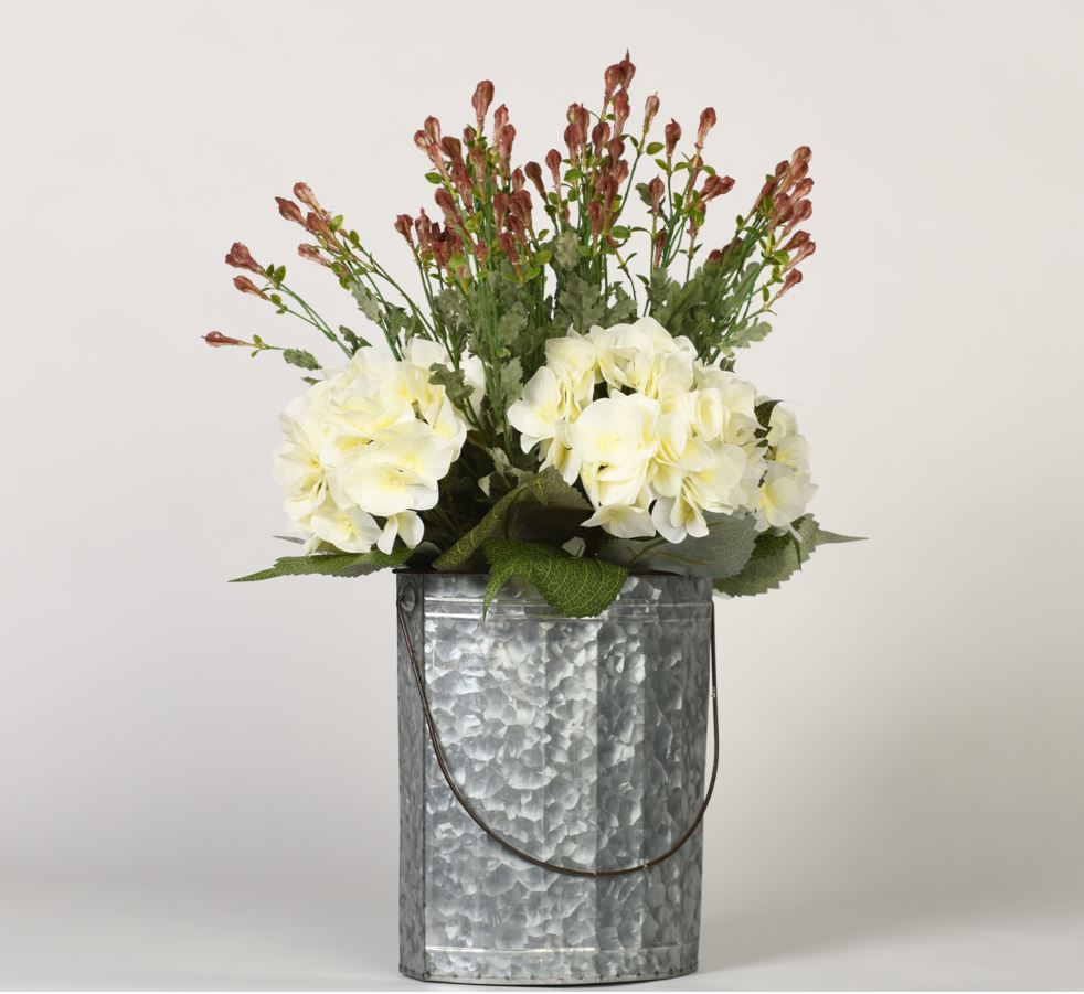 CREAM HYDRANGEAS Image