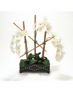 8088A Floral Image