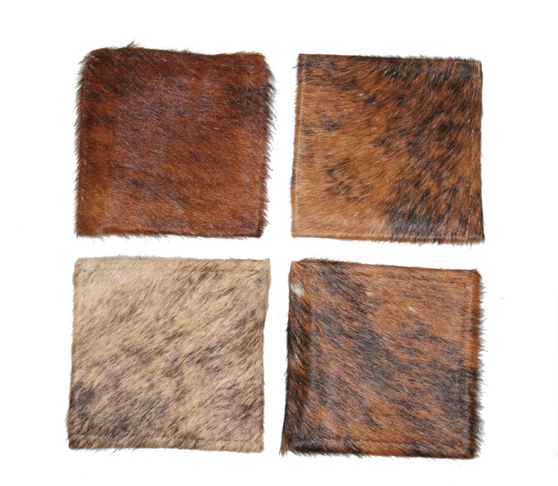 ANIMAL HIDE SQUARE COASTERS Image