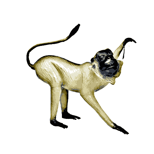 GARYMED MONKEY MED Image