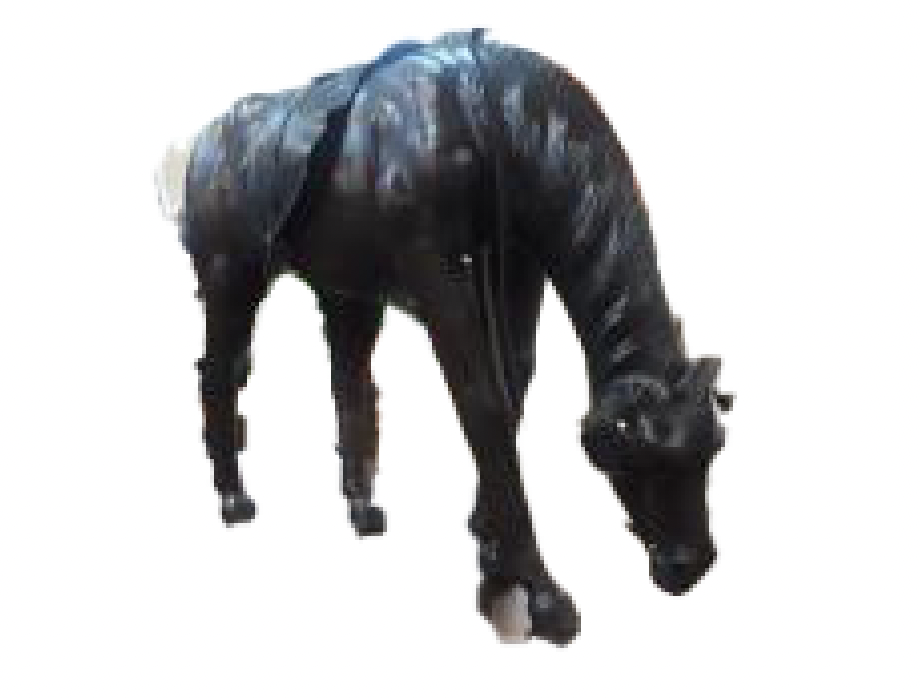 EH HORSES Image