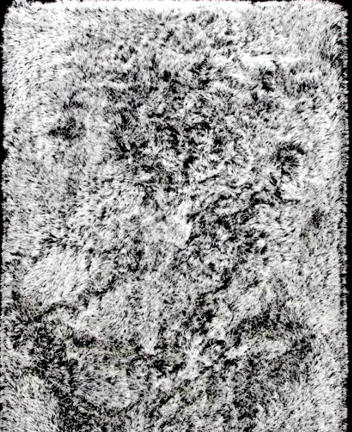 5077 Dallas Rug Image