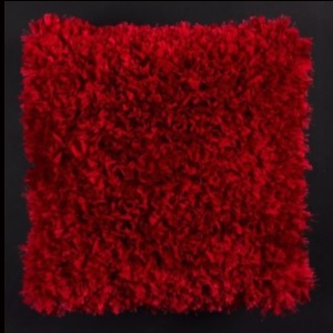 JAZMIN PILLOW Image
