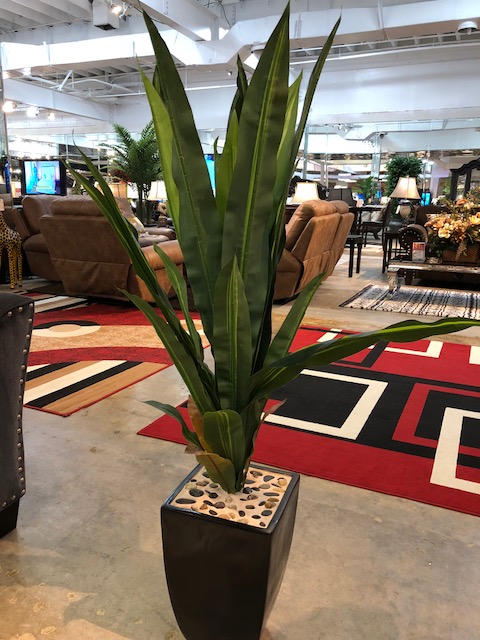 79390 LONG LEAF PLANTER Image